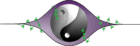 Transparent CHI
